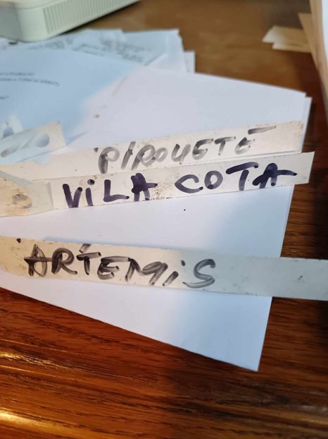  - LA VILLA COTTA