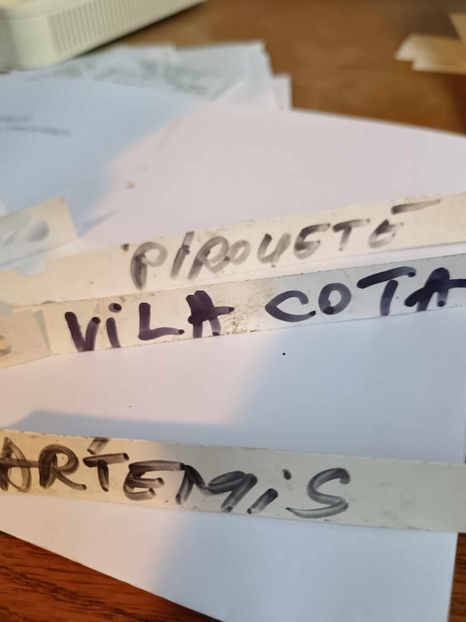  - LA VILLA COTTA