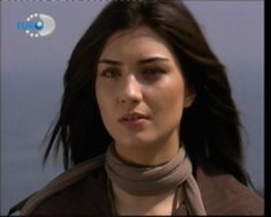 11346381_TGDFIRTFL
