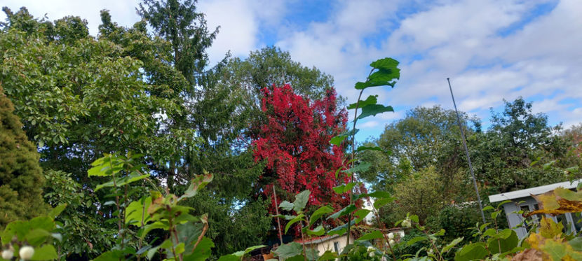  - 2024 - 03 - Toamna