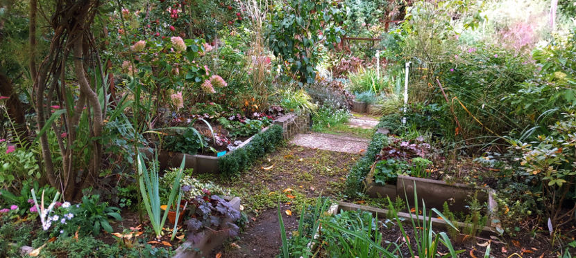  - 2024 - 03 - Toamna