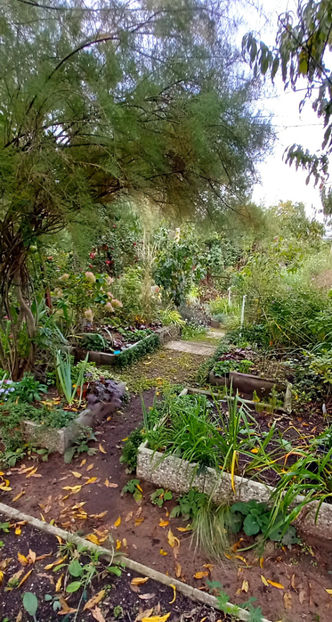  - 2024 - 03 - Toamna