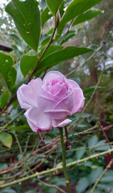  - 2024 - 03 - Toamna