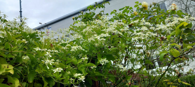  - 2024 - 03 - Toamna