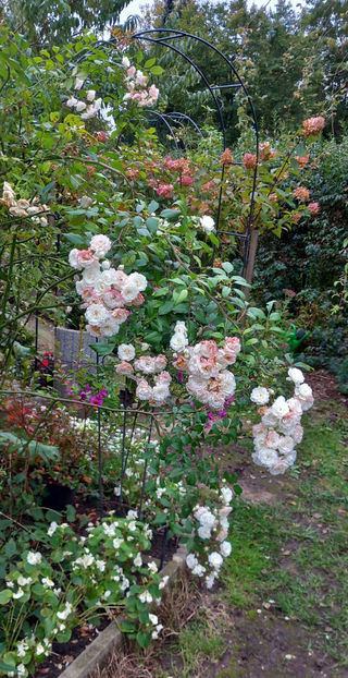  - 2024 - 03 - Toamna