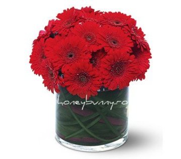 Aranjament%20gerbera%20rosii