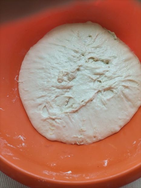 Imagine WhatsApp 2024-08-09 la 15.15.34_96efe397 - 2024 PRIETEN LA GRĂINĂ august 9