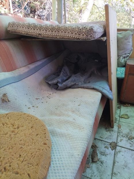 Imagine WhatsApp 2024-10-19 la 13.52.03_e0ecef8a - 2024 GRĂDINĂ oct 19 cușca CODRUȚA