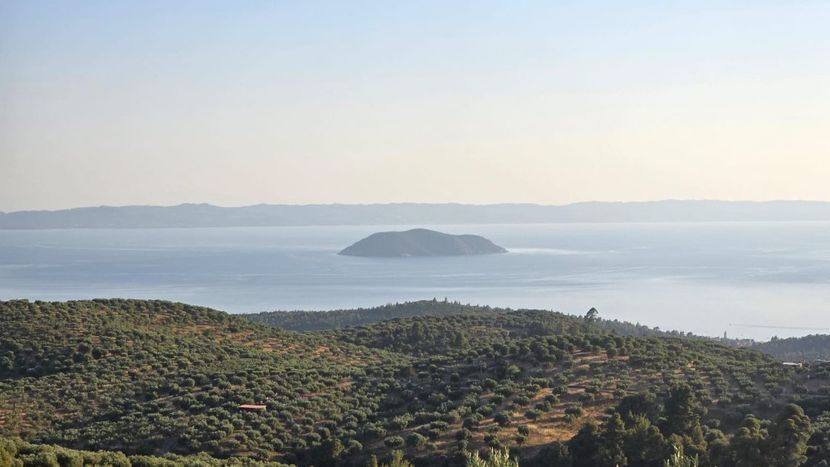 Imagine WhatsApp 2024-07-09 la 21.11.02_2676c14c - 2024 NIKITA BEACH iulie 6