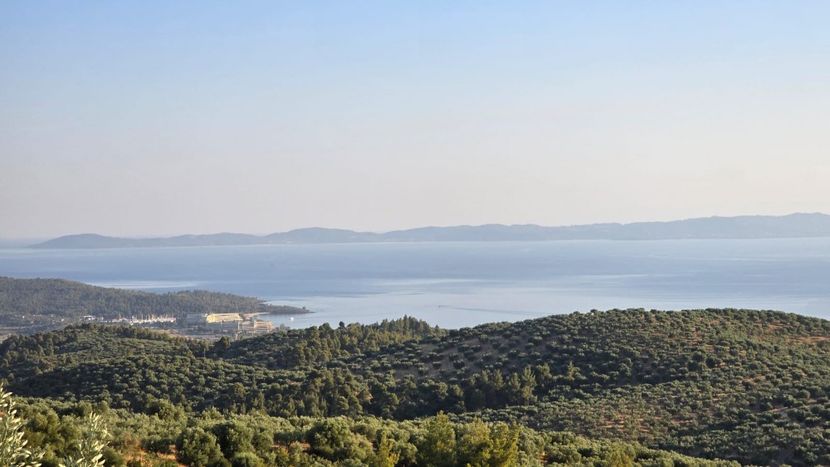 Imagine WhatsApp 2024-07-09 la 21.11.02_87801003 - 2024 NIKITA BEACH iulie 6