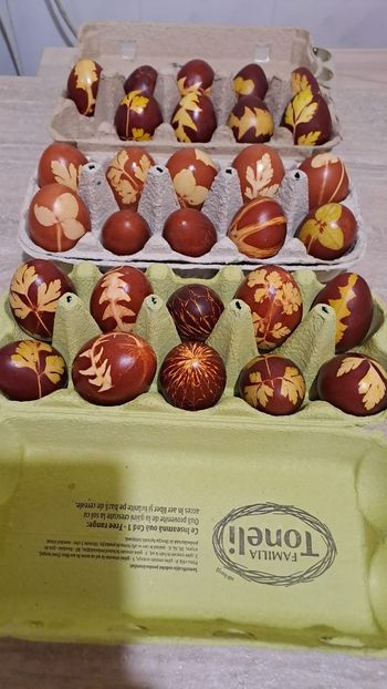 Imagine WhatsApp 2024-05-02 la 21.54.23_de243d9c - 2024 PASTI mai 5