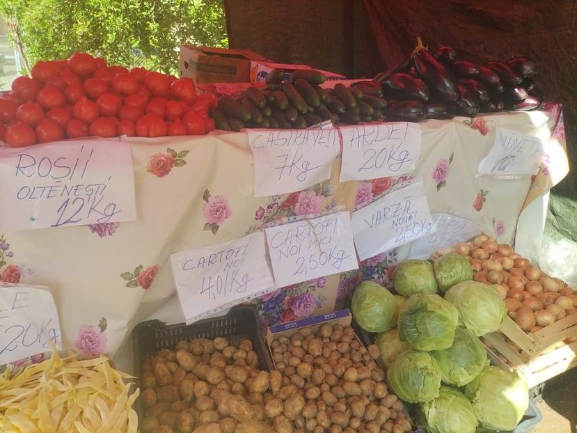 Imagine WhatsApp 2024-05-24 la 09.16.24_c7a93a46 - 2024 SILVIAN 23 mai