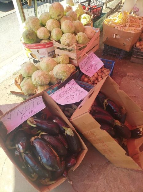 Imagine WhatsApp 2024-06-07 la 10.31.04_8360f769 - 2024 SILVIAN 23 mai