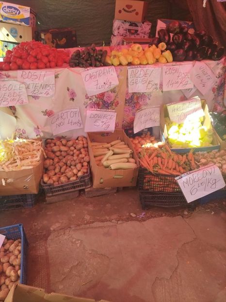 Imagine WhatsApp 2024-06-07 la 10.31.16_374e3f13 - 2024 SILVIAN 23 mai