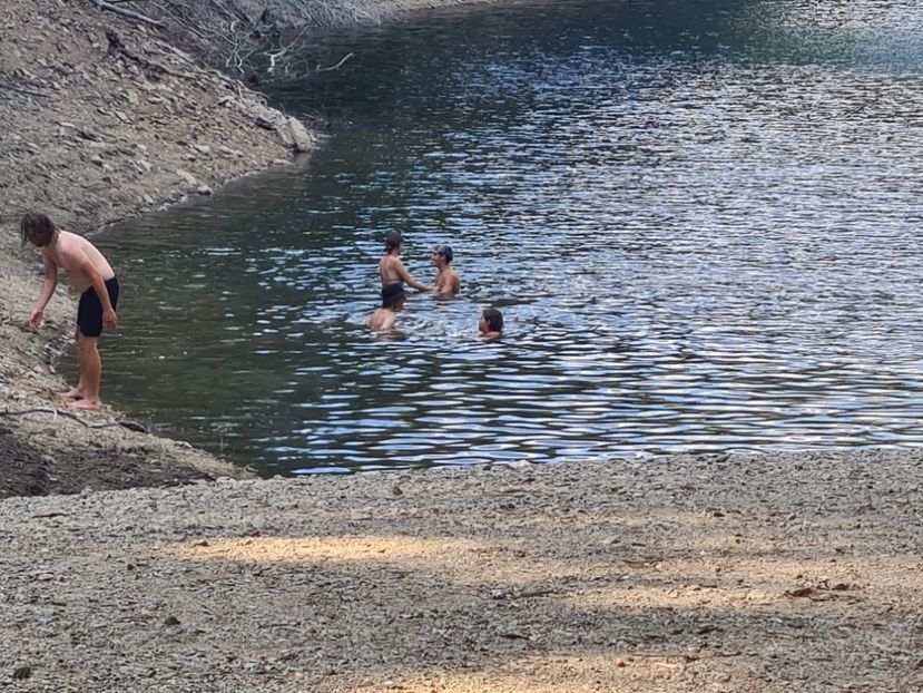 Imagine WhatsApp 2024-08-14 la 20.51.59_bb2d840e - 2024 TARNIȚA 14 august