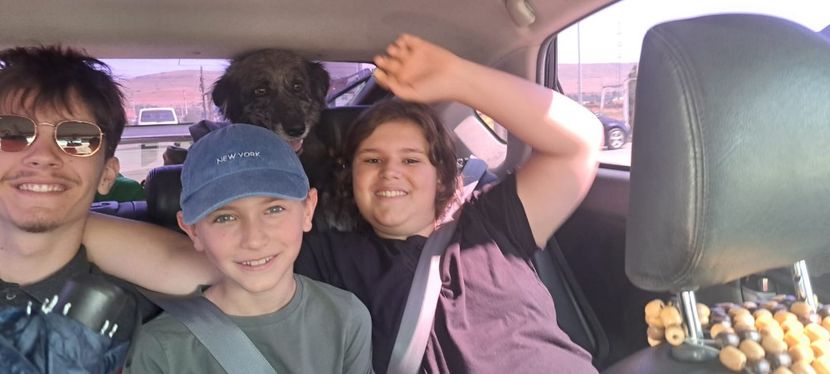 Imagine WhatsApp 2024-08-15 la 12.34.13_3ec14152 - 2024 TARNIȚA 14 august