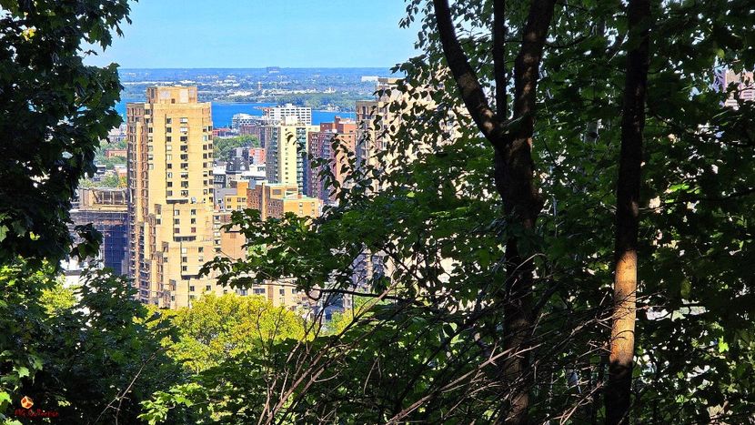 MONTREAL - Vue du Mount Royal - MONTREAL -- CANADA