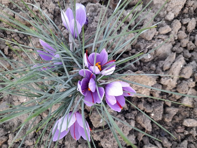  - 1 2024 Din nou cu natura impreuna !