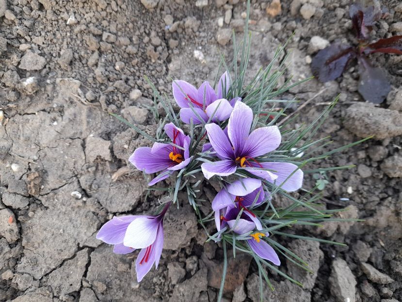  - 1 2024 Din nou cu natura impreuna !