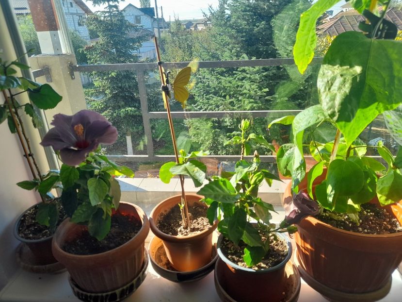  - 1 2024 Din nou cu natura impreuna !