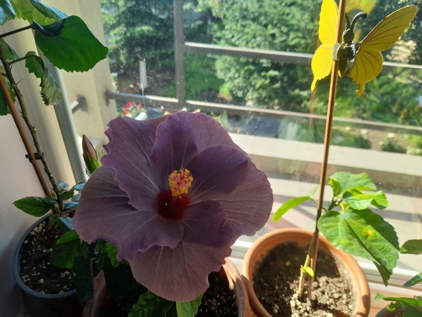  - 1 2024 Din nou cu natura impreuna !