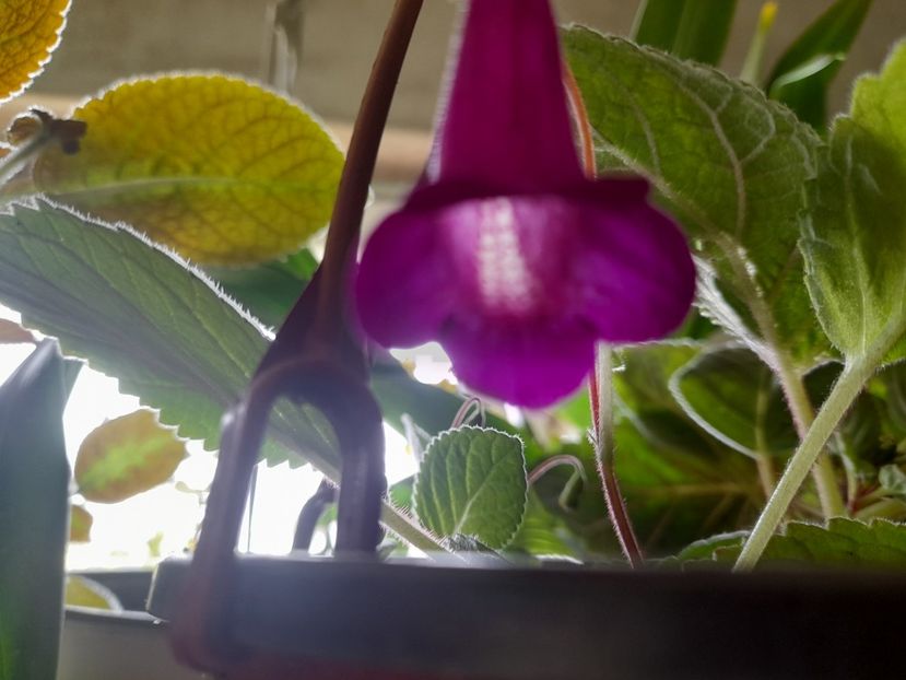  - 1 2024 Din nou cu natura impreuna !