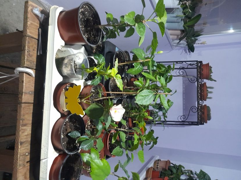  - 1 2024 Din nou cu natura impreuna !