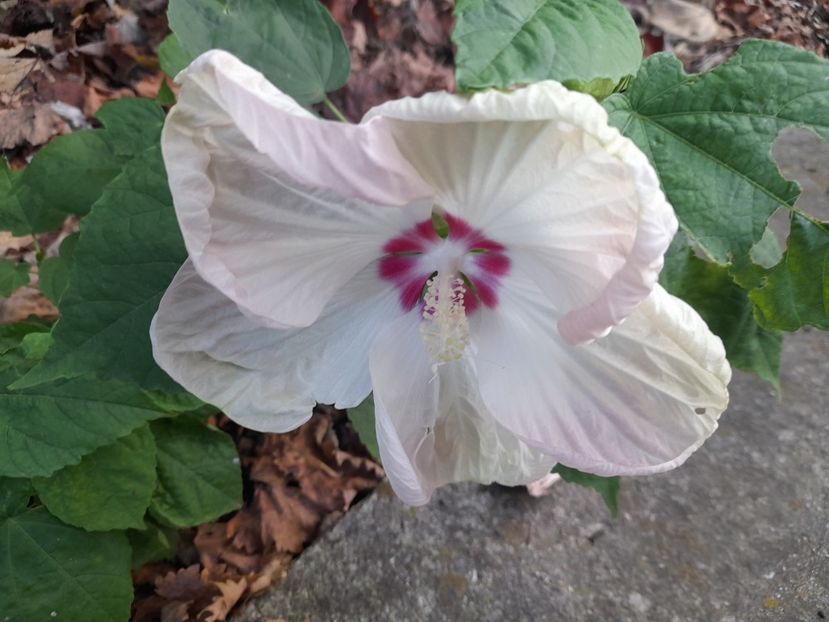  - 1 2024 Din nou cu natura impreuna !