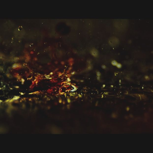 ◦◦ ◦ - l - Let The World Burn