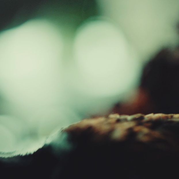 ◦◦ ◦ - l - Let The World Burn