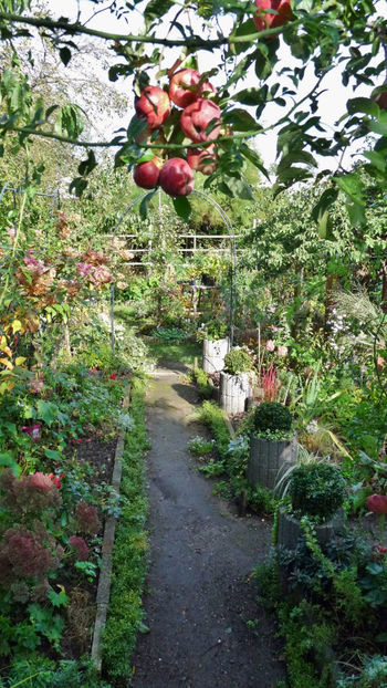  - 2024 - 03 - Toamna