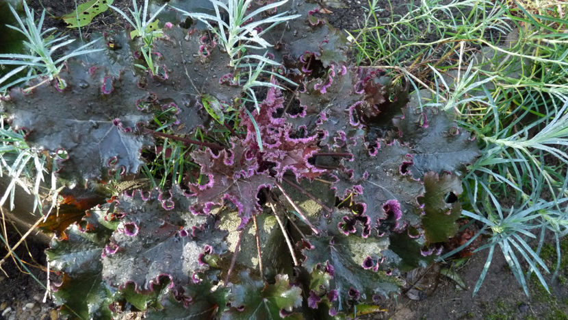  - 2024 - 03 - Toamna