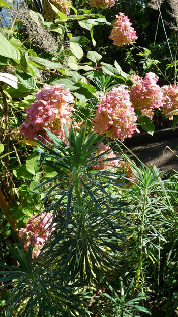  - 2024 - 03 - Toamna