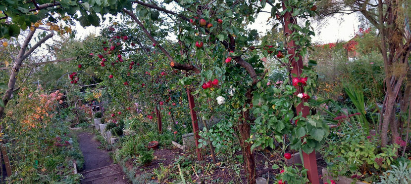  - 2024 - 03 - Toamna