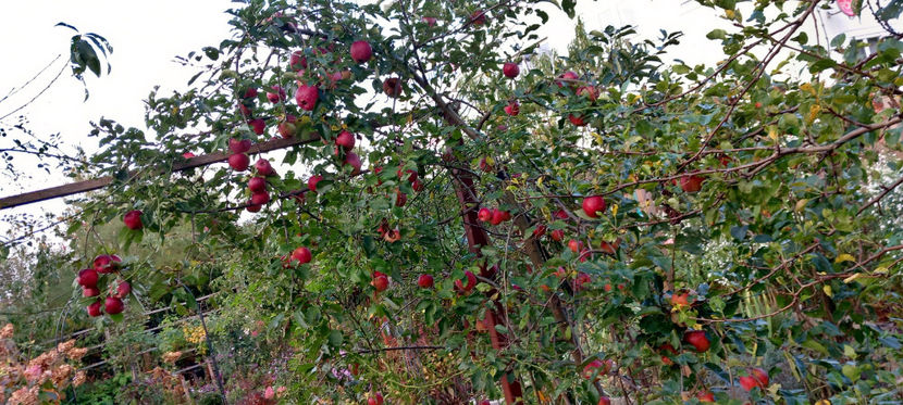  - 2024 - 03 - Toamna