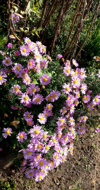  - 2024 - 03 - Toamna