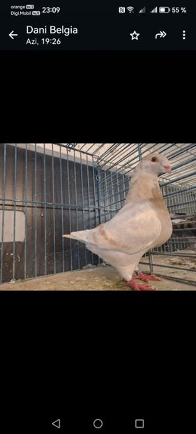 F 2023 vindut 200 euro - 2024 DE VINZARE