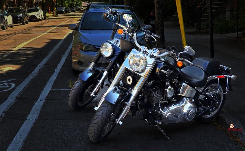 HURLEY Davidson Bikes in MONTREAL - D - CARS - BIKES - BOATS