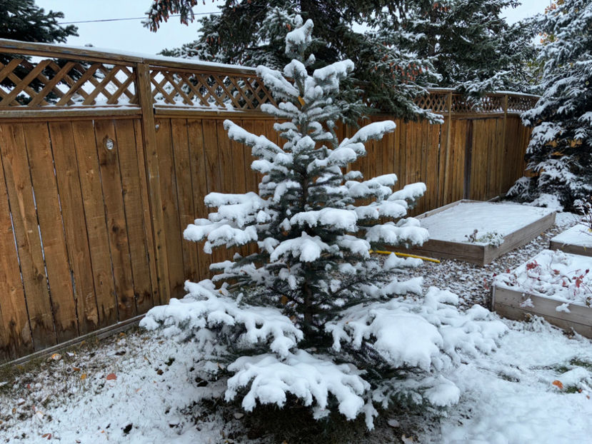  - Jurnalul gradinii 2024