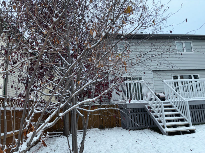  - Jurnalul gradinii 2024