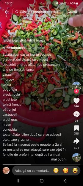 Screenshot_20241024_101150_TikTok - Salata tiganeasca