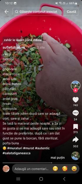 Screenshot_20241024_101203_TikTok - Salata tiganeasca