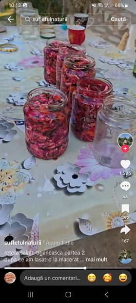 Screenshot_20241024_101213_TikTok - Salata tiganeasca