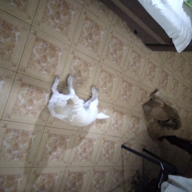  - Octombrie 2