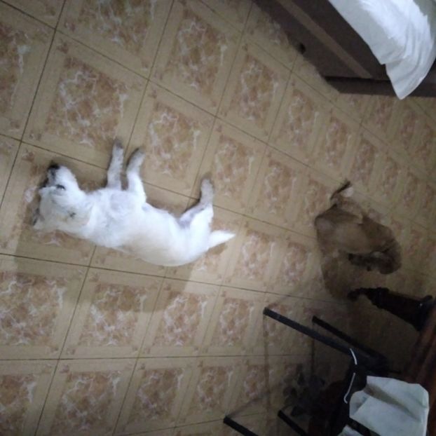  - Octombrie 2