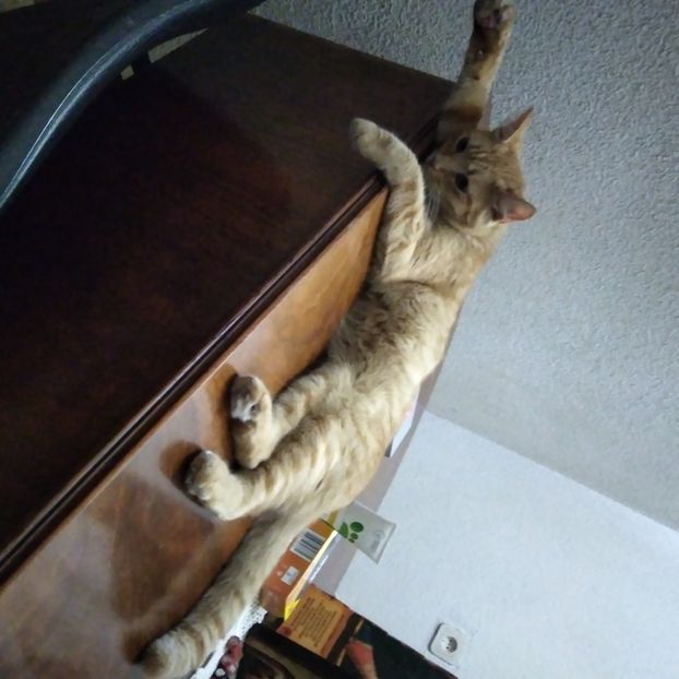 - Octombrie 2
