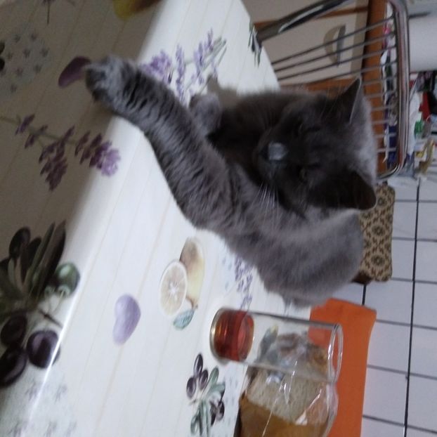  - Octombrie 2