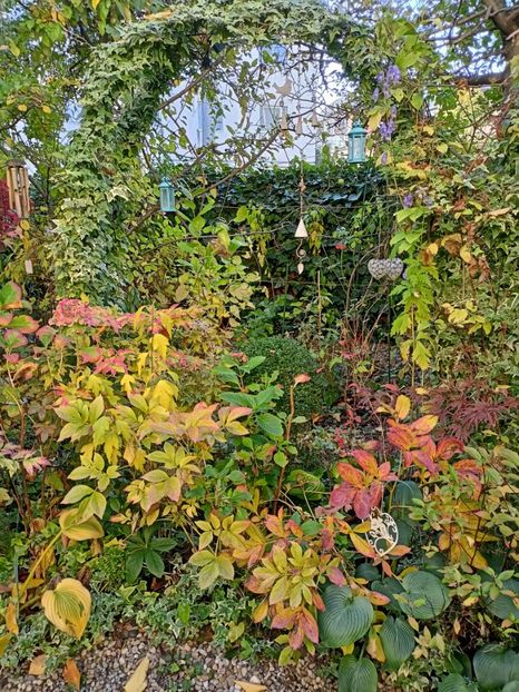  - Grădina 2024 continuare 4