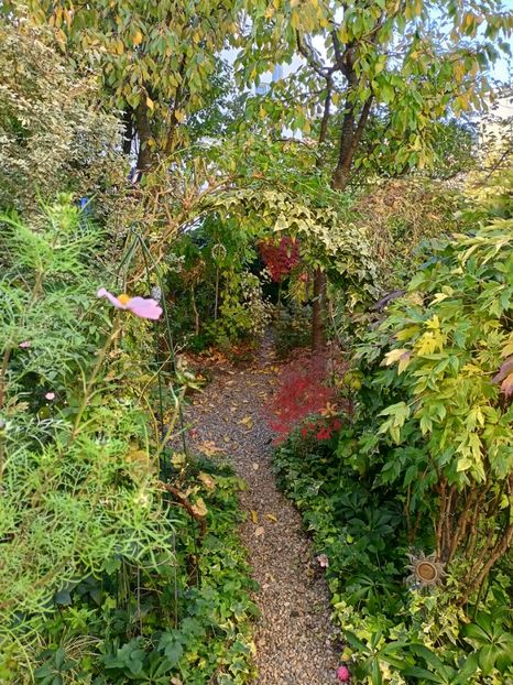  - Grădina 2024 continuare 4