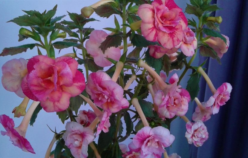 20241026_100727-1 - 000016